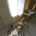 Virtual Reality T-Girls en jij: free sample om te ontdekken