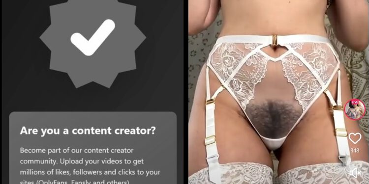 (voor) Meesteressen: FikFap veilig alternatief voor TikTok?