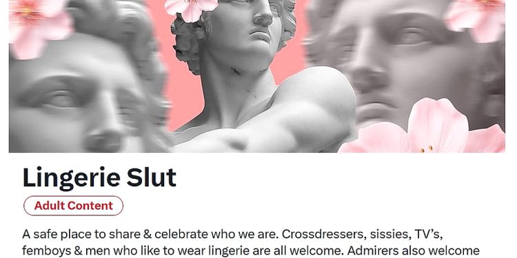 Community sissy