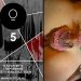 MedFet: via Sadic Sadie van Vetitus naar Madame Li Ying (veel info!)