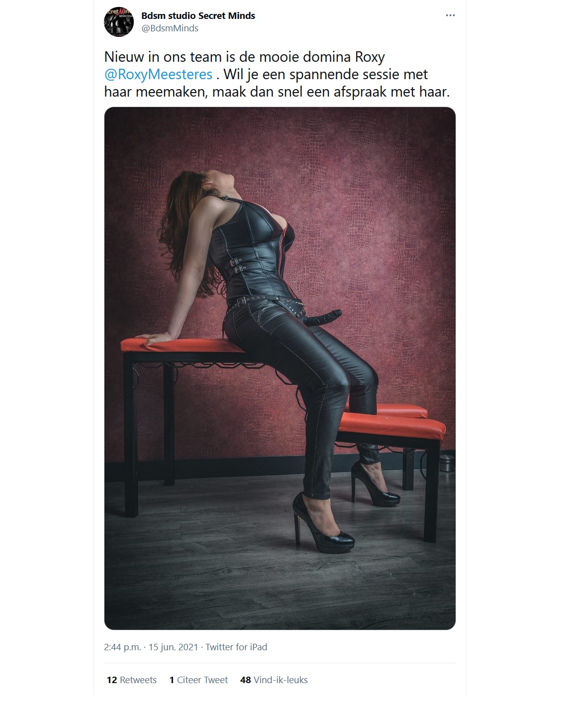 Femdomslaven, bied je aan!