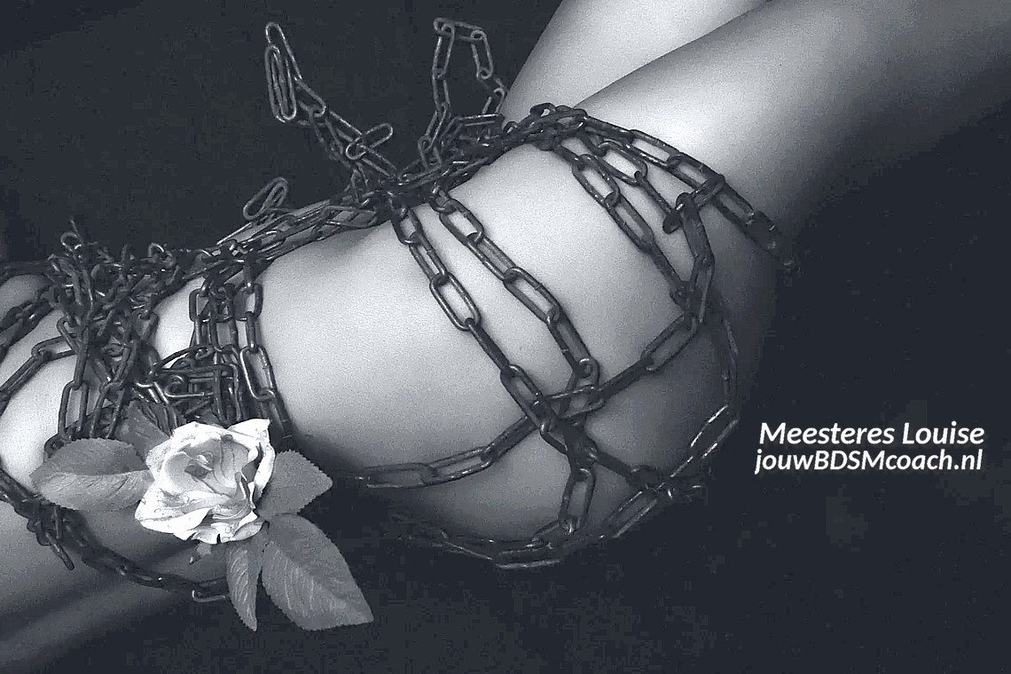 Meesteres BDSM-coach
