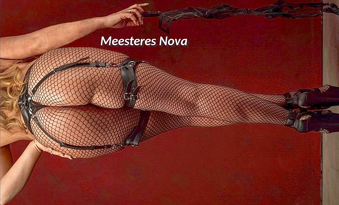 Meesteres Nova x